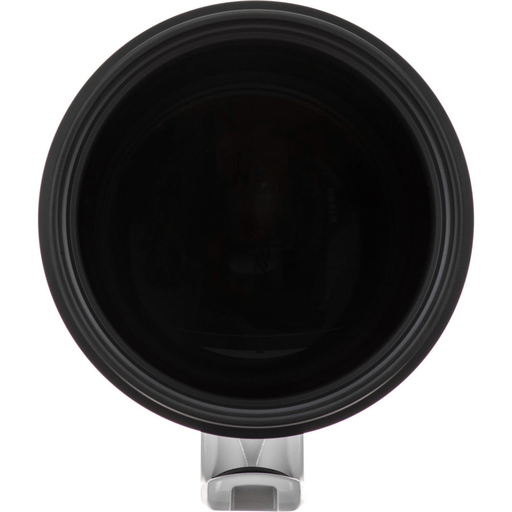 Canon EF 400mm f/2.8L IS III USM Lens