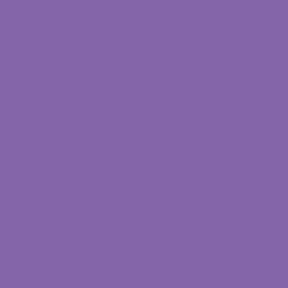 Savage Widetone Seamless Background Paper | 53" x 36', #62 Purple