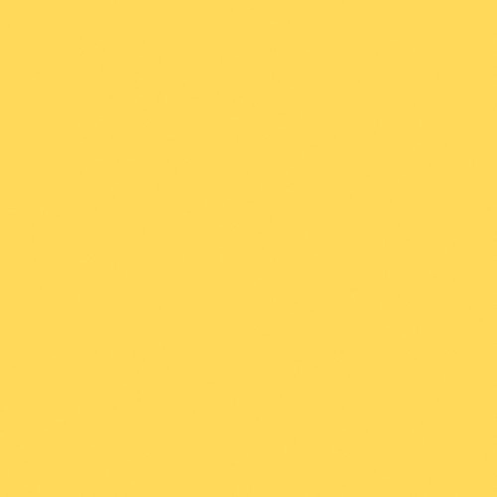 Savage Widetone Seamless Background Paper | 53" x 36', #04 Sand