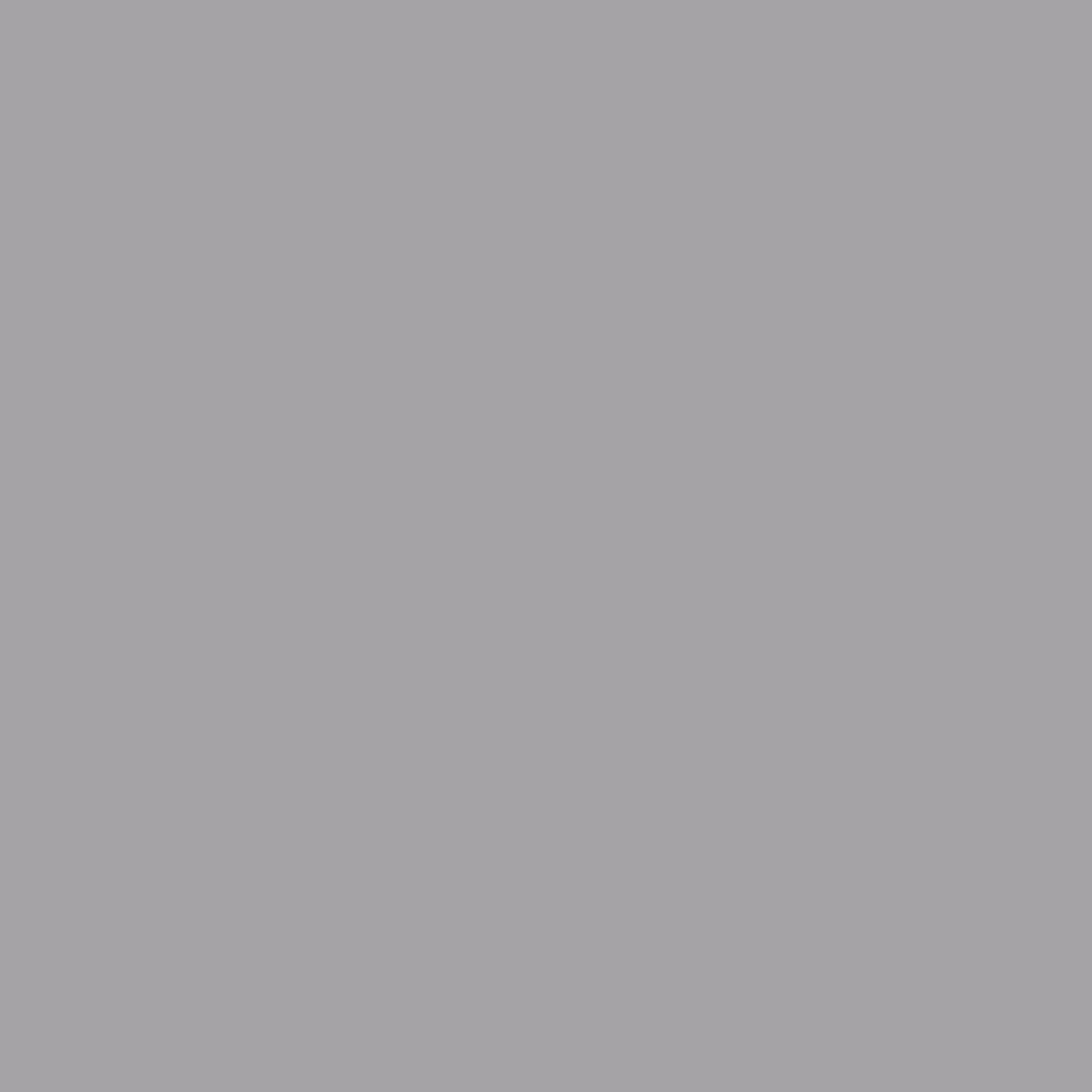 Savage Widetone Seamless Background Paper | 26" x 36', #74 Smoke Gray