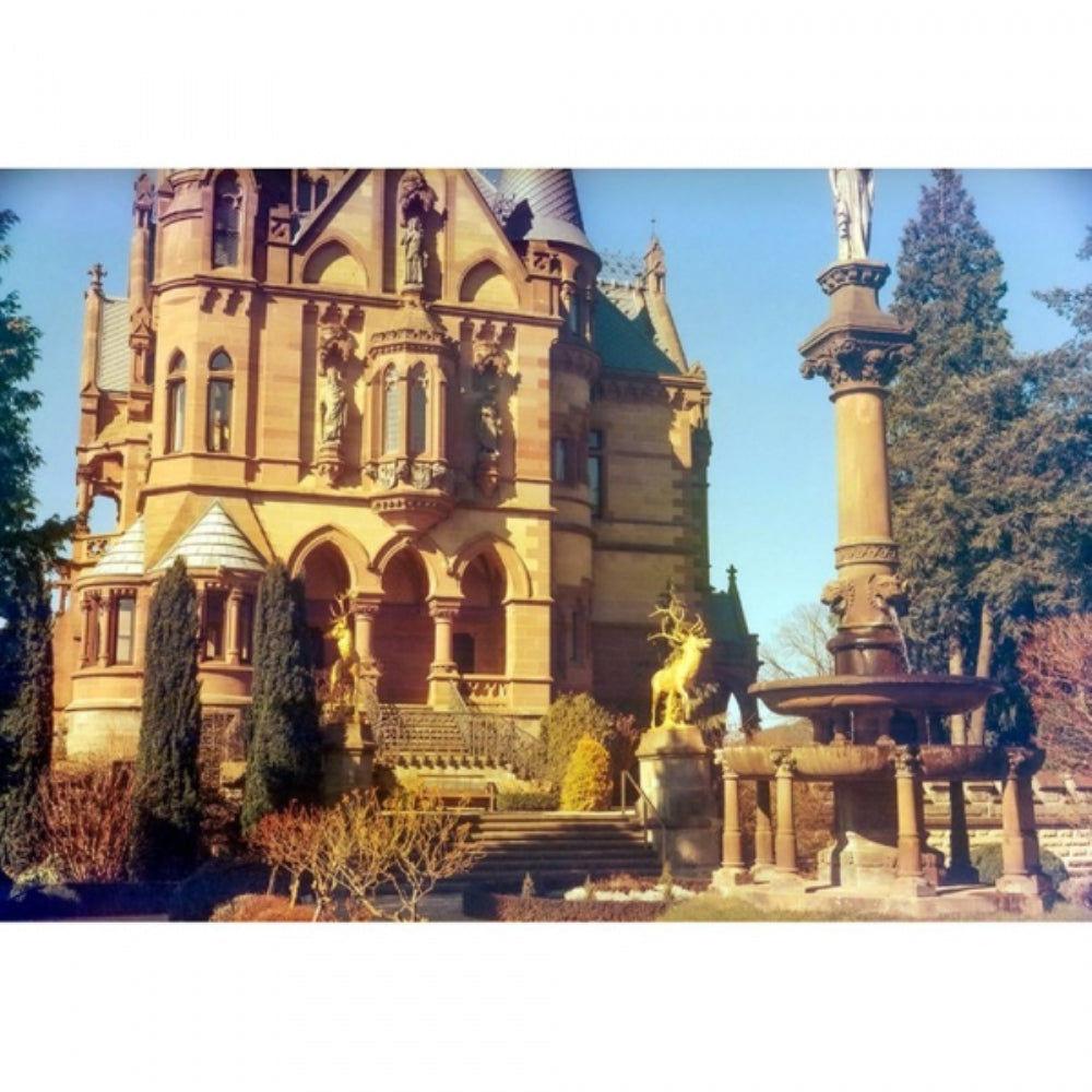 KONO Delight Art 400 Color Negative Film | 120 Roll Film