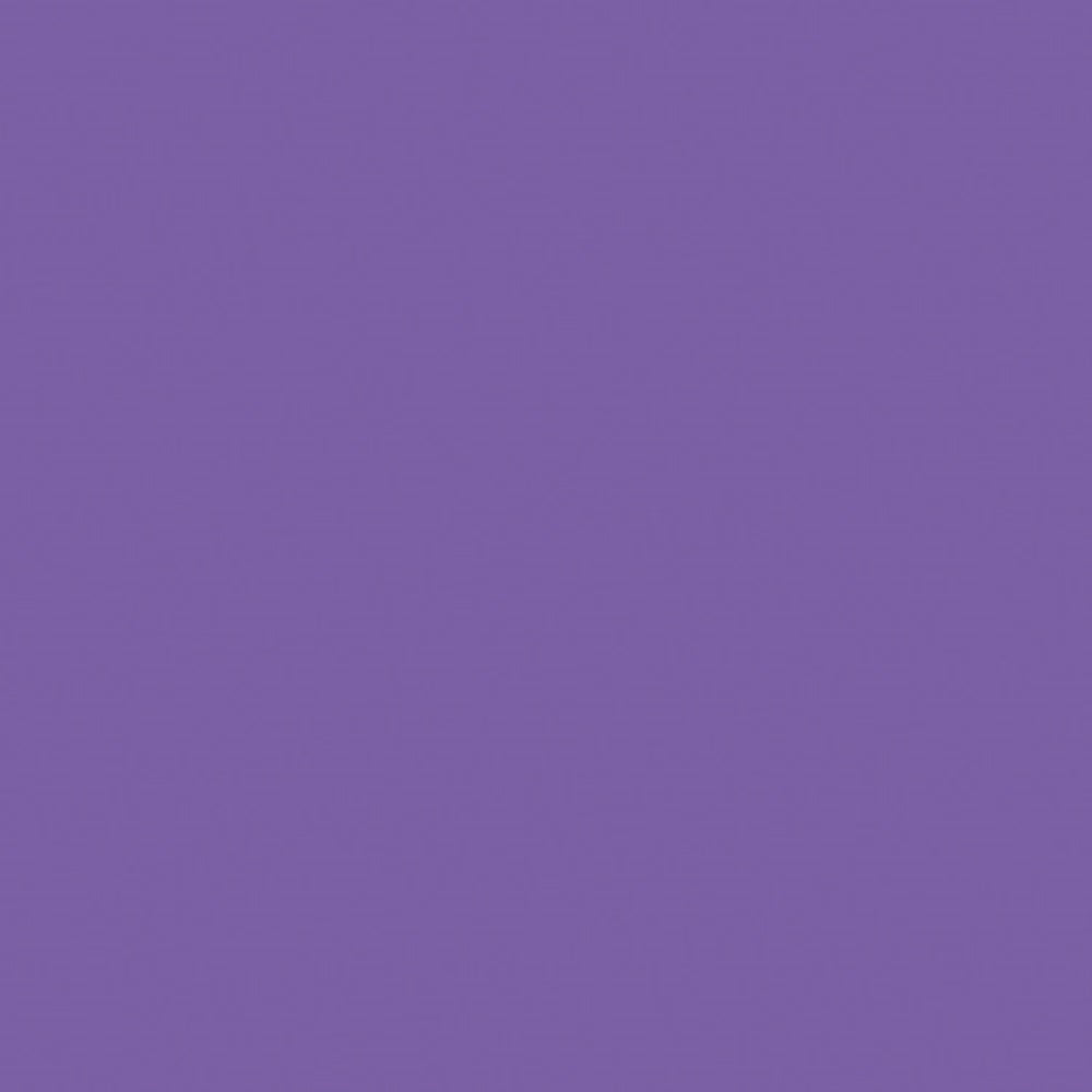 Savage Widetone Seamless Background Paper | 26" x 36', #62 Purple
