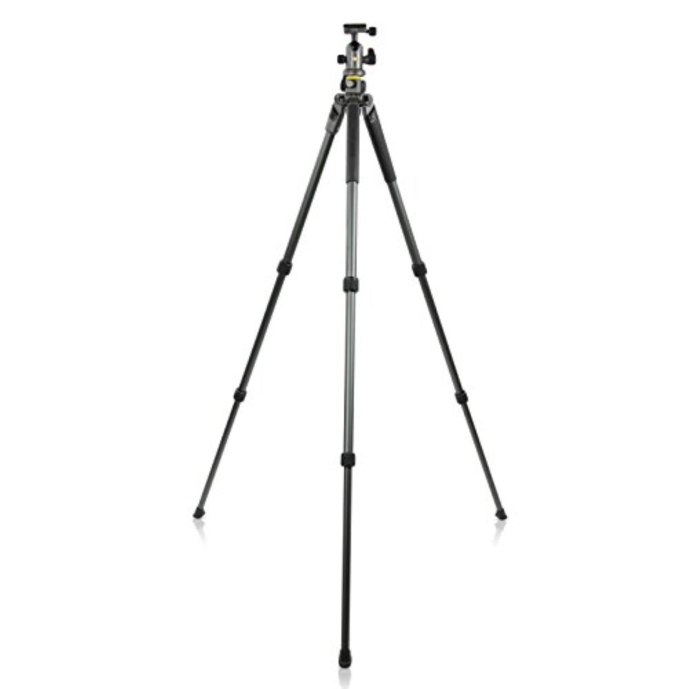 Vanguard Alta Pro 2+ 263AB100 Aluminum-Alloy Tripod Kit with Alta BH-100 Ball Head