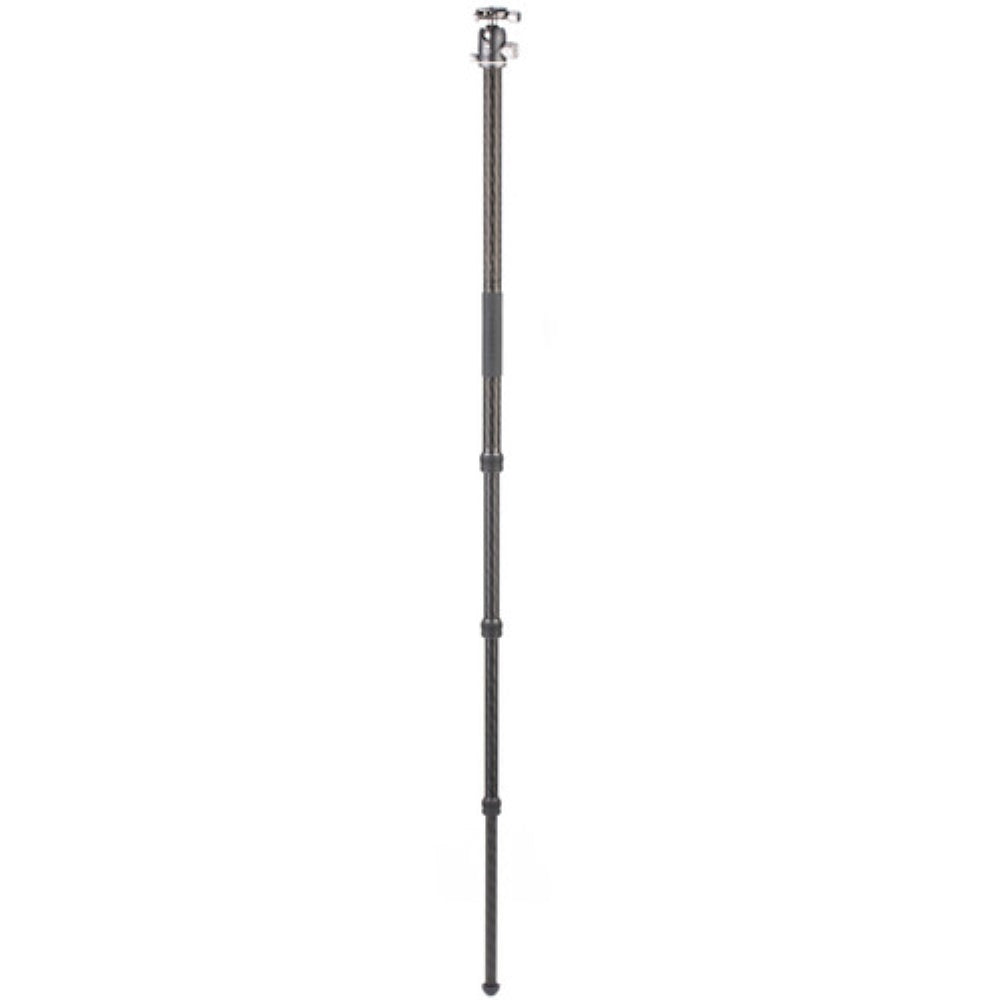Benro Rhino Carbon Fiber Three Series Travel Tripod with VX30 Head