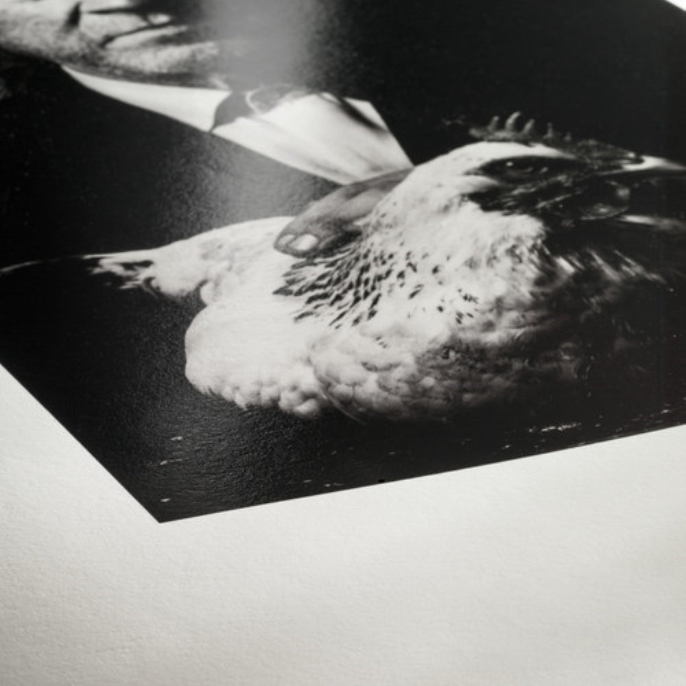 Hahnemühle Photo Rag Baryta Glossy FineArt Paper | 17" x 39' Roll