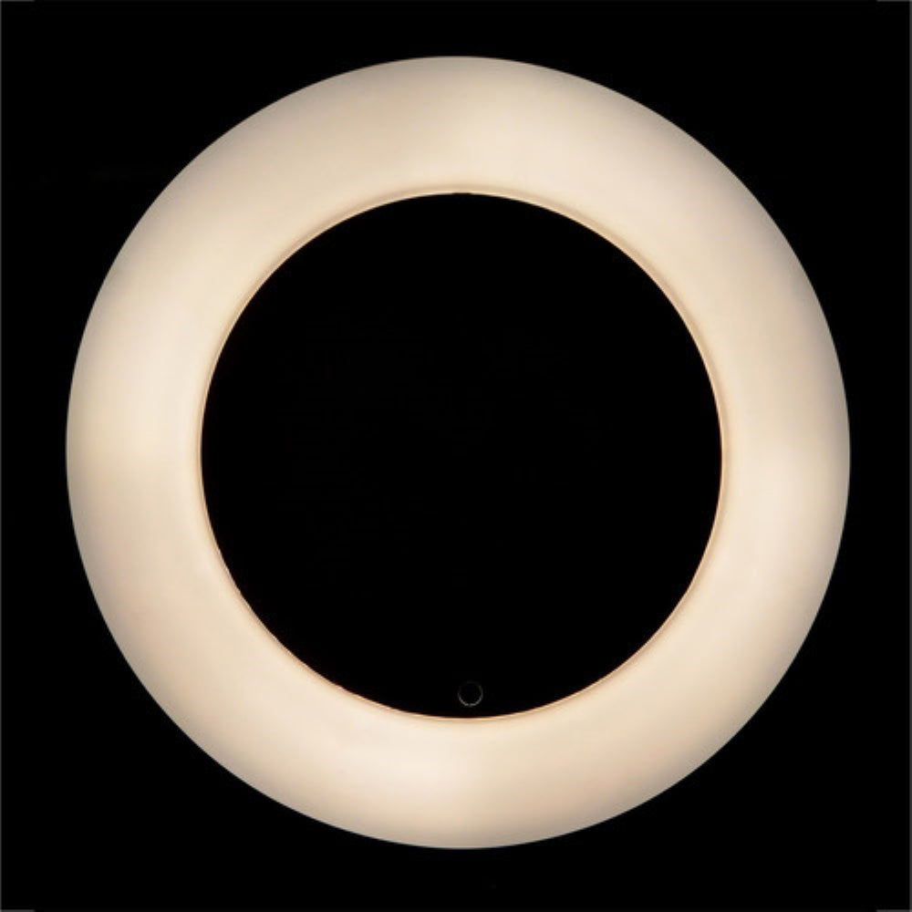 Savage Luminous Pro 17.5" Daylight LED Ringlight Plus