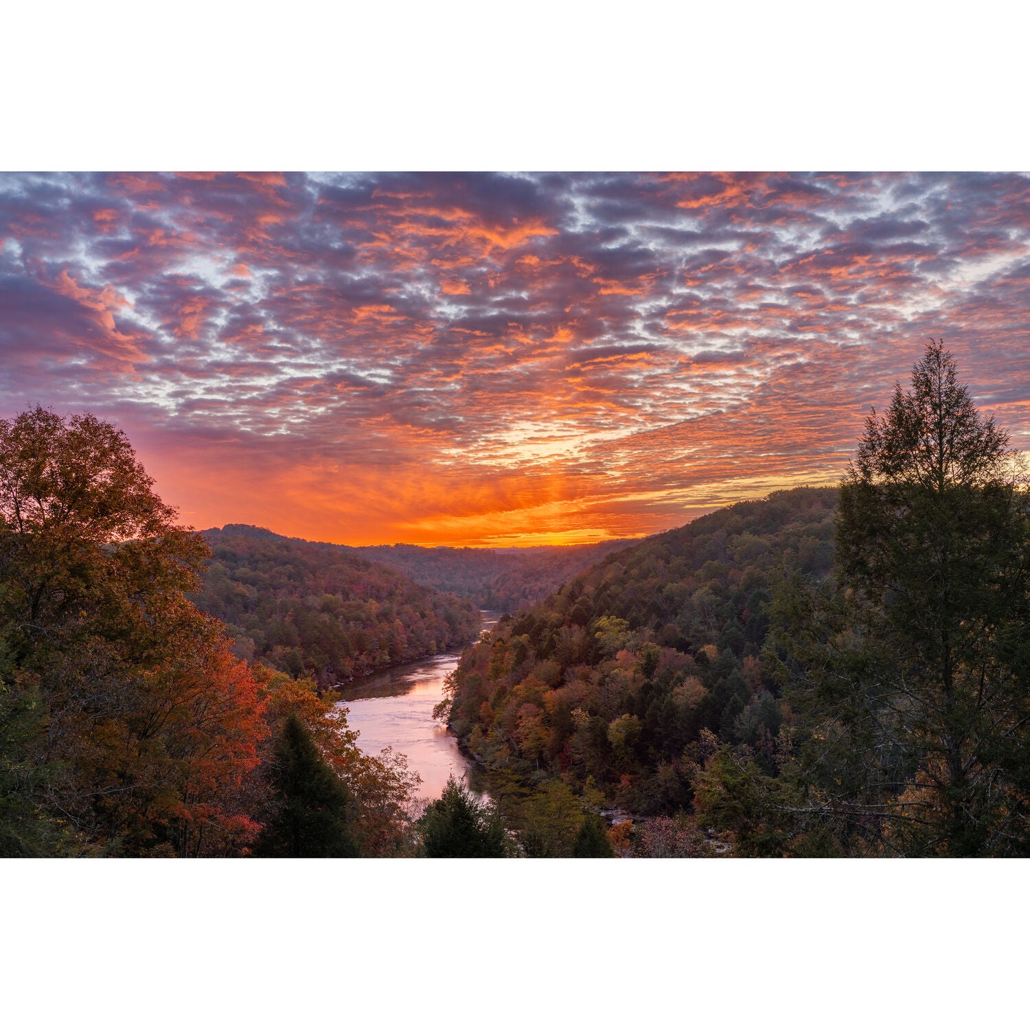 Canon EOS R6 Mark III Mirrorless Camera with RF 24-70mm f/2.8L IS USM Lens & Extra Canon LP-E6P Battery