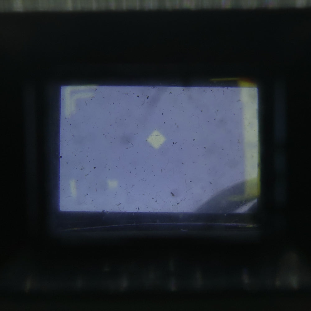 Used Ricoh 500G | 35mm | U8