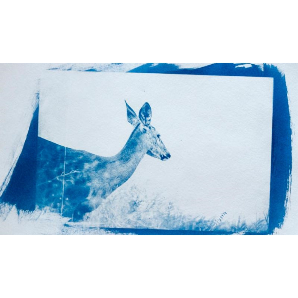 Photographers' Formulary Liquid Cyanotype Printing Kit