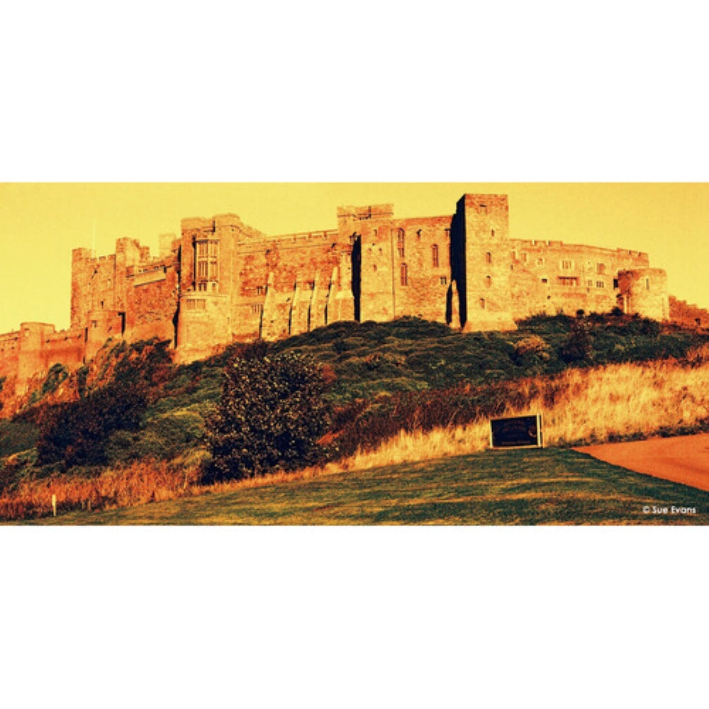 HARMAN technology Red 125 Redscale Color Negative Film | 35mm Roll Film, 36 Exposures