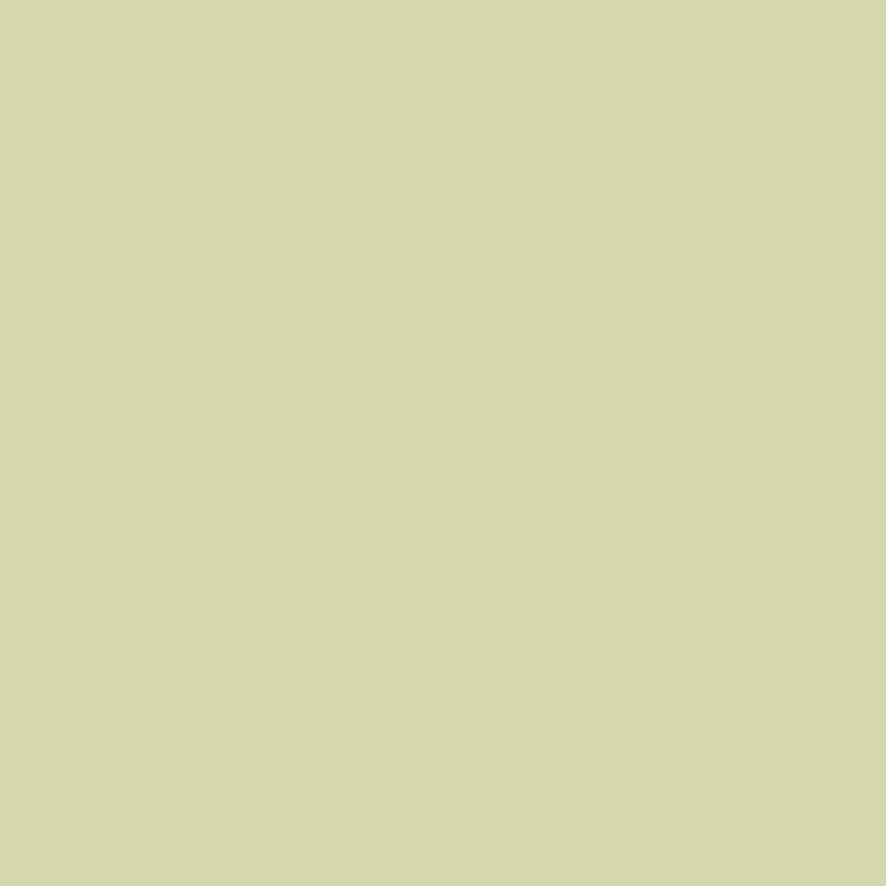Savage Widetone Seamless Background Paper | 53" x 36', #23 Sea Green