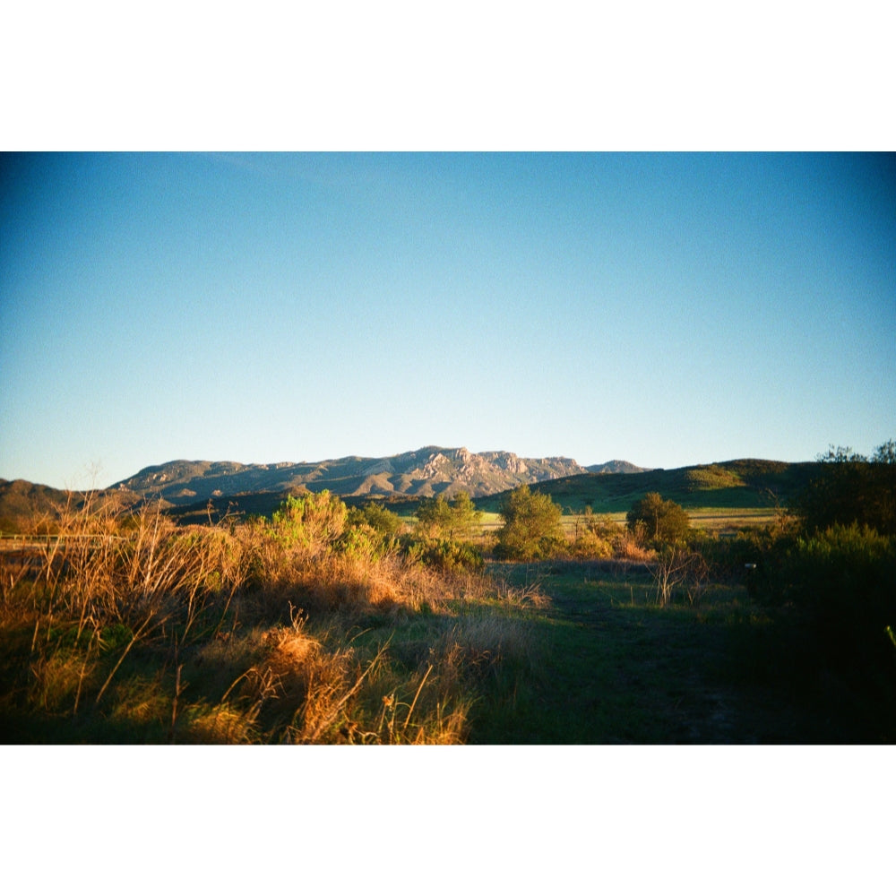 Kodak Eastman Ultramax 400 & Gold 200 35mm Color Negative Film | (36 Exposures) - 6 Rolls + Cloth