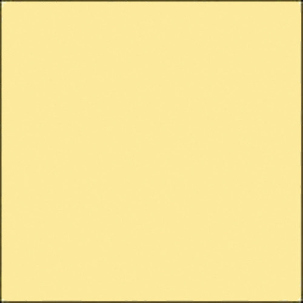 Savage Widetone Seamless Background Paper | 107" x 36', #04 Sand