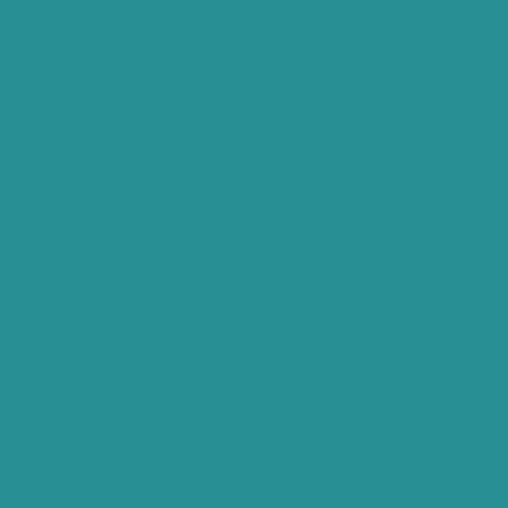 Savage Widetone Seamless Background Paper | 53" x 36', #68 Teal