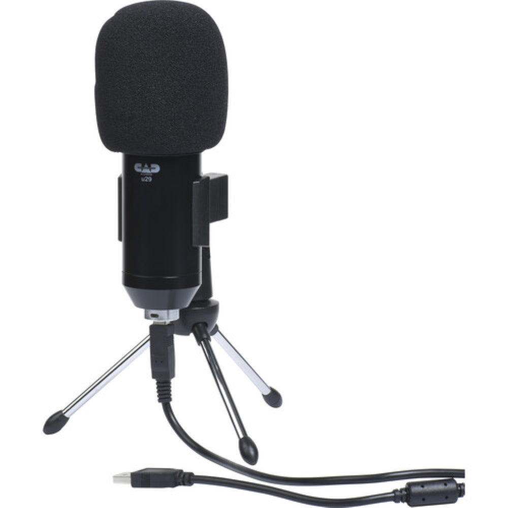 CAD U29 USB Large Format Side Address Studio Microphone