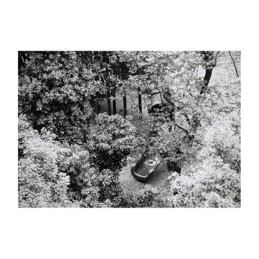 Lomography Orca Black and White Negative Film | 110 Cartridge, 24 Exposures