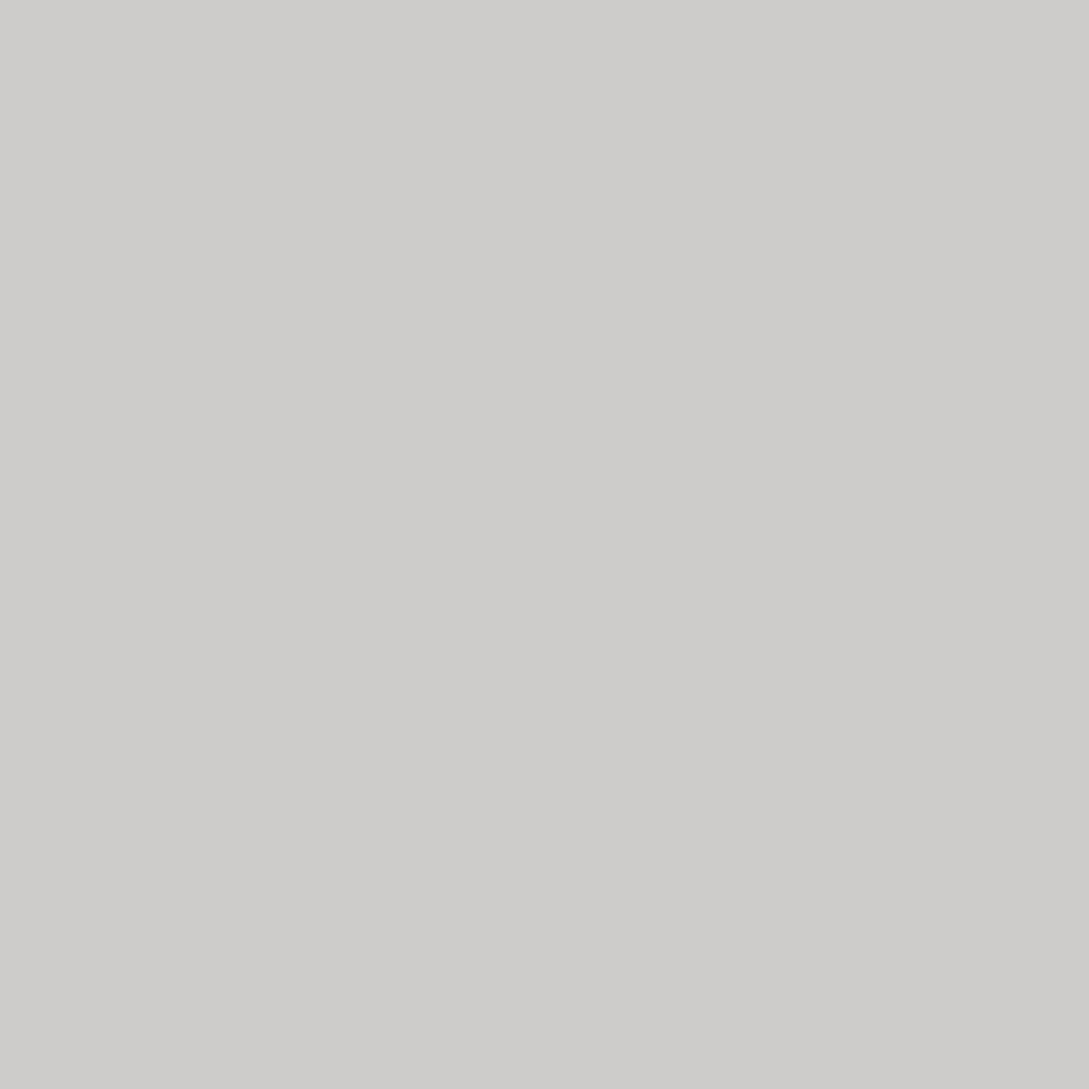 Savage Widetone Seamless Background Paper | 107" x 36', #60 Focus Gray