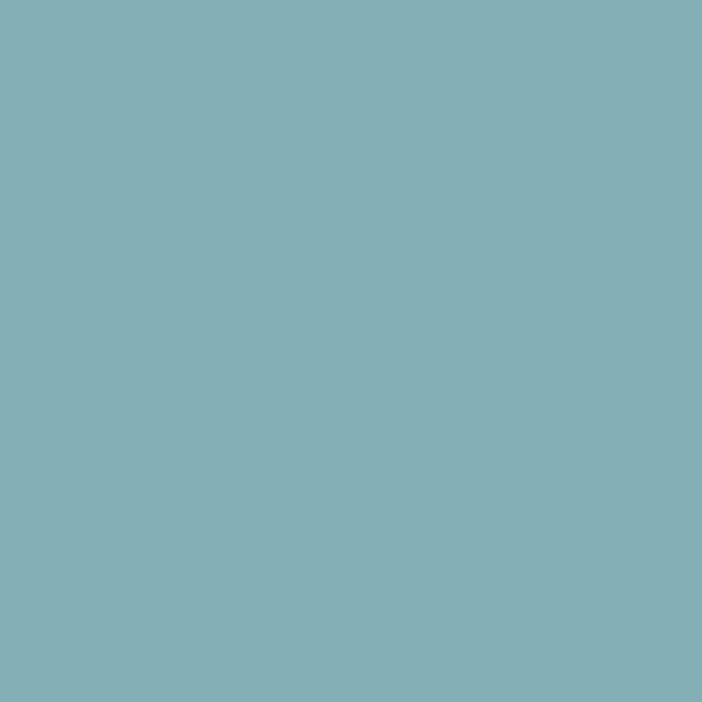 Savage Widetone Seamless Background Paper | 53" x 36', #02 Sky Blue