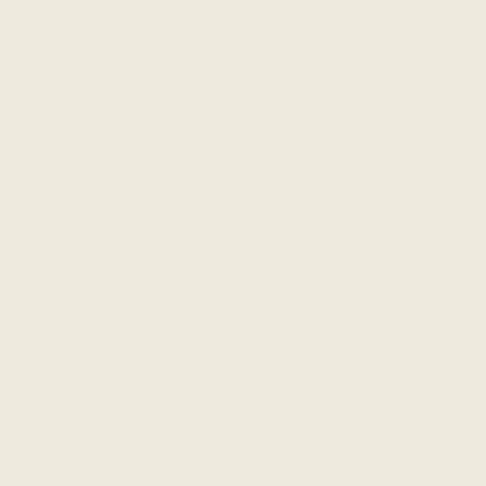Savage Widetone Seamless Background Paper | 53" x 36',  #12 Studio Gray
