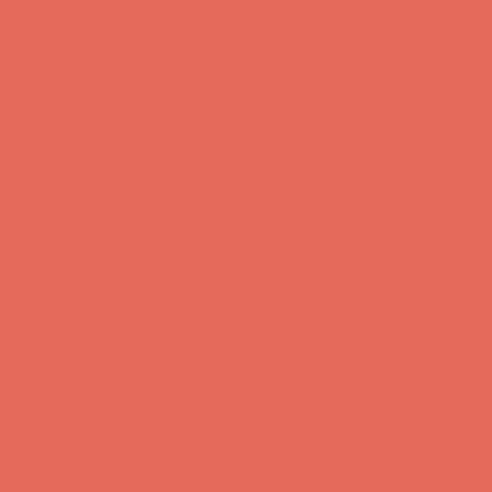 Savage Widetone Seamless Background Paper | 26" x 36', #82 Tangelo