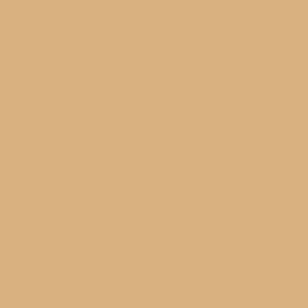 Savage Widetone Seamless Background Paper | 53" x 36', #76 Mocha