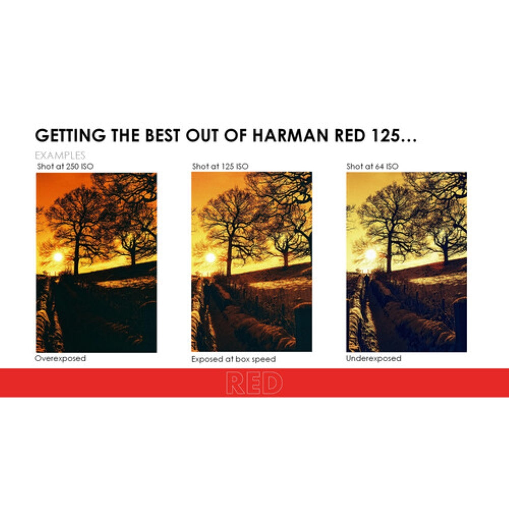 HARMAN technology Red 125 Redscale Color Negative Film | 35mm Roll Film, 36 Exposures