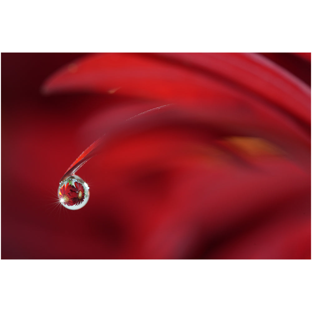 Sony FE 100mm f/2.8 Macro GM Lens Compatible with Sony E Mount (Full Frame) Bundle with Tiffen 67mm Filter Set (UV, CP & Black Pro Mist 1/8) + Lens Cap Keeper + Cleaning Kit + Cleaning Cloth (5 Items)