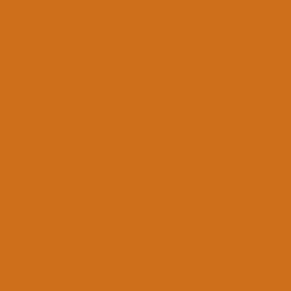 Savage Widetone Seamless Background Paper | 53" x 36',  #17 Sienna