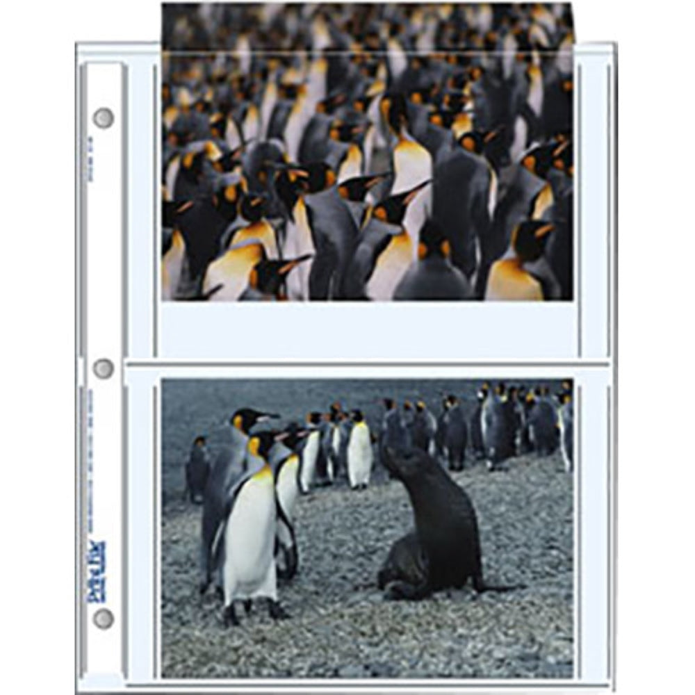 Print File Archival Storage Pages for Prints | 5 x 7", 4 Pockets, 25 Pack