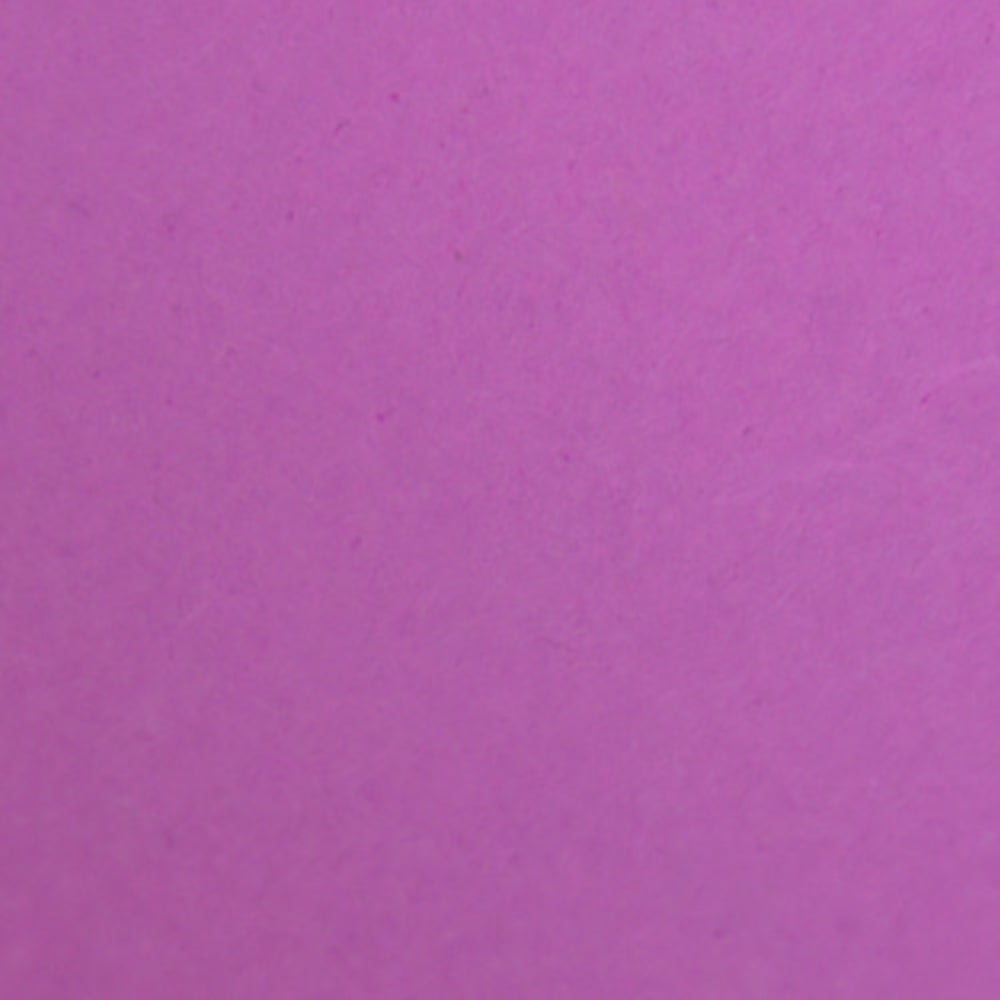 Savage Widetone Seamless Background Paper | 26" x 36', #91 Plum