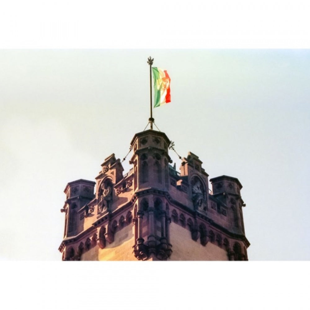 KONO Delight Art 400 Color Negative Film | 120 Roll Film