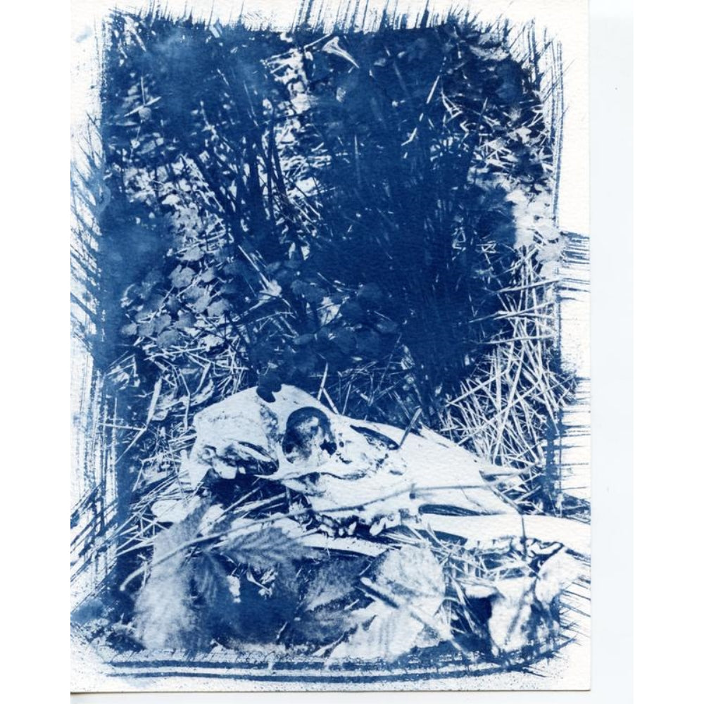 Photographers' Formulary Liquid Cyanotype Printing Kit