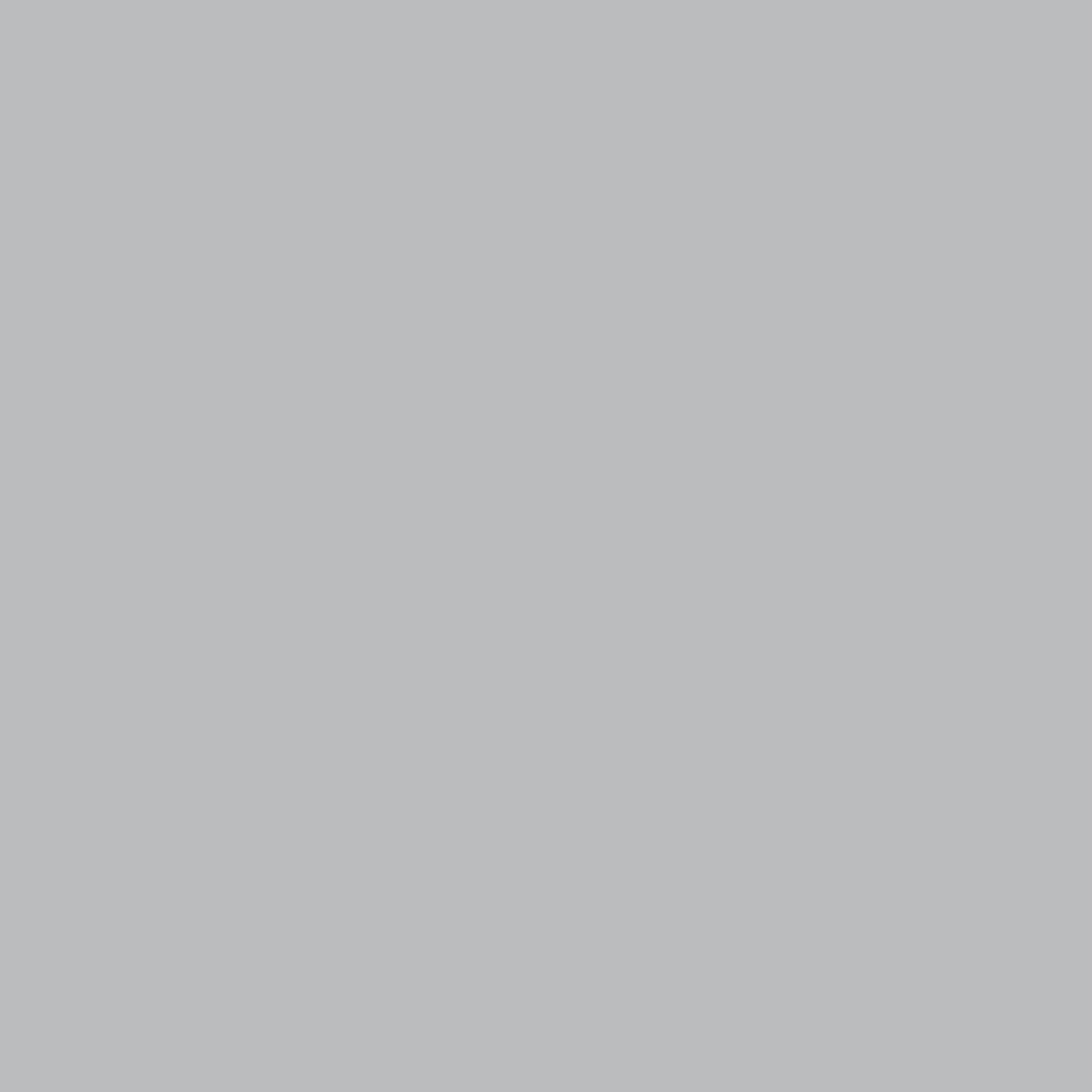 Savage Widetone Seamless Background Paper | 26" x 36', #09 Stone Gray
