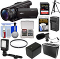 Sony Handycam FDR-AX100 Wi-Fi 4K HD Video Camera Camcorder with 64GB Card + Case + LED Light + Battery/Charger + Mic + Tripod + Filter Kit