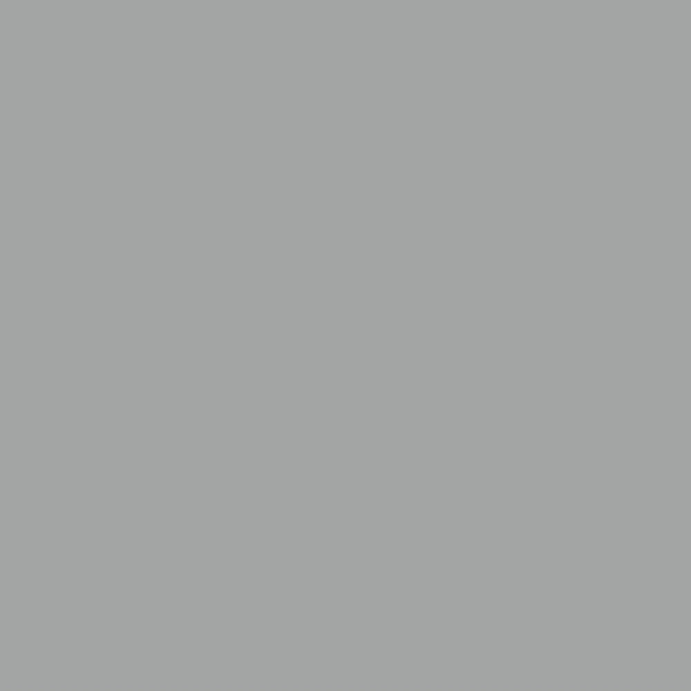 Savage Widetone Seamless Background Paper | 107" x 36' - #70 Storm Gray
