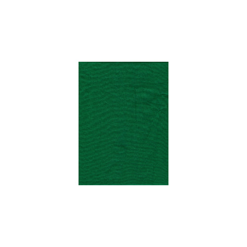 Promaster Solid Backdrop 6'x10' - Chroma Green