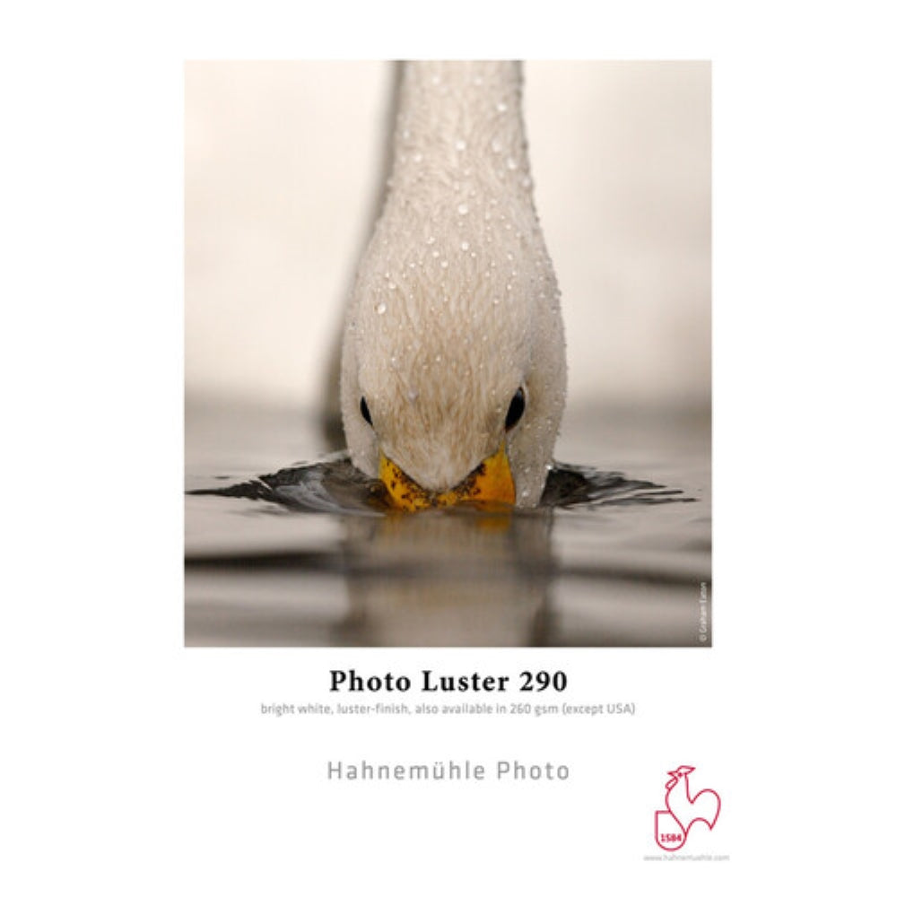 Hahnemuhle Photo Luster 290 Inkjet Roll Paper | 24" x 100'