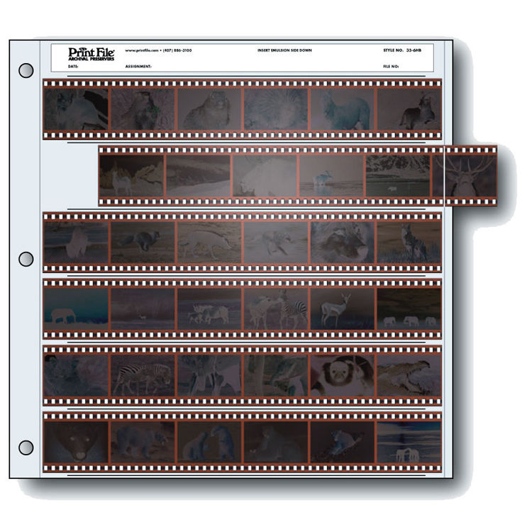 Print File 35mm Size Archival Storage Pages for Negatives | 6-Strips of 6-Frames, 25 Pack