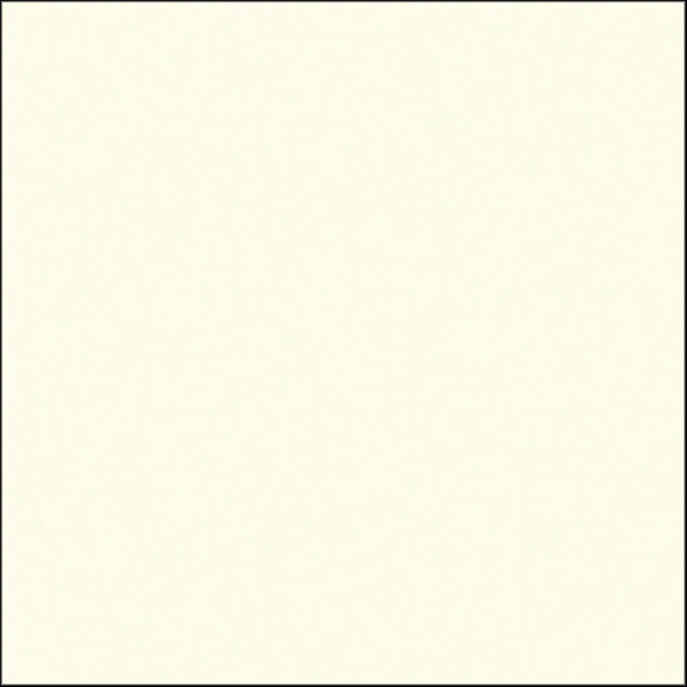 Savage Widetone Seamless Background Paper | 107" x 36', #50 White