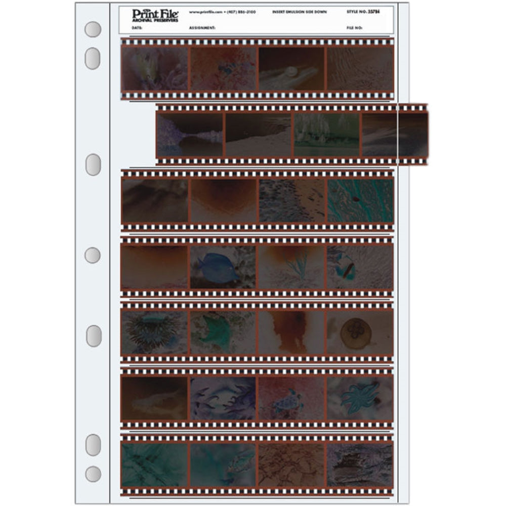 Print File 35mm Size Archival Storage Pages for Negatives | 7-Strips of 4-Frames, 25 Pack