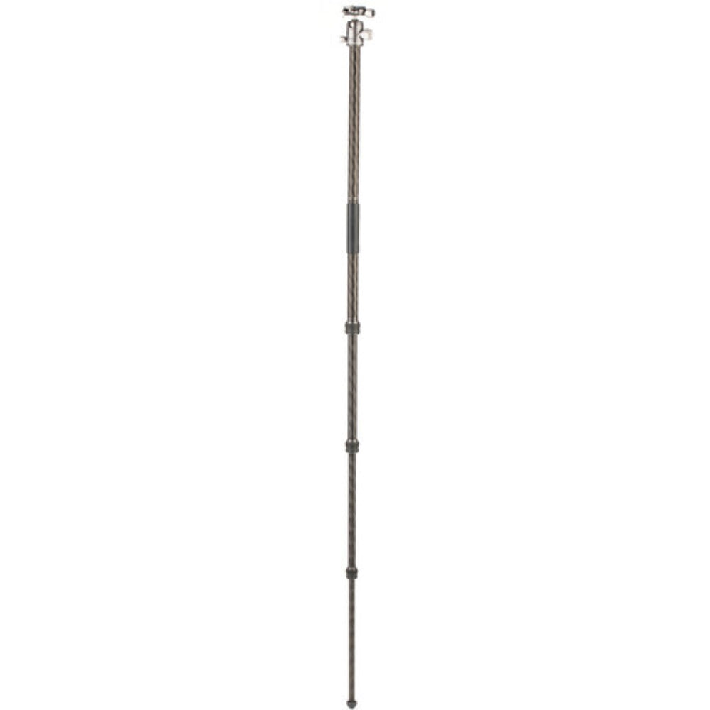 Benro Rhino Carbon Fiber Two Series Travel Tripod with VX25 Head