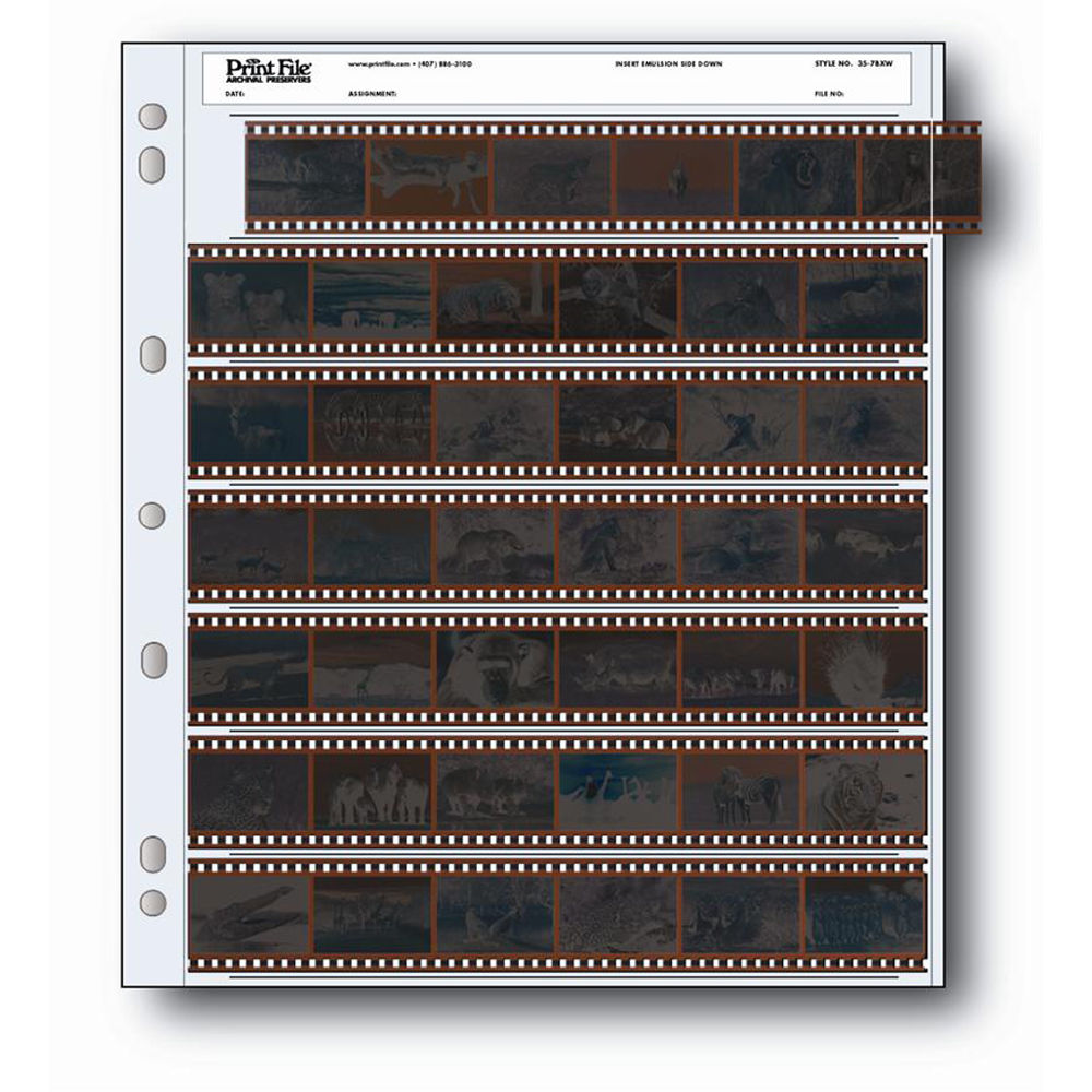 Print File 35mm Size Archival Storage Pages for Negatives | 7-Strips of 6-Frames, 100 Pack