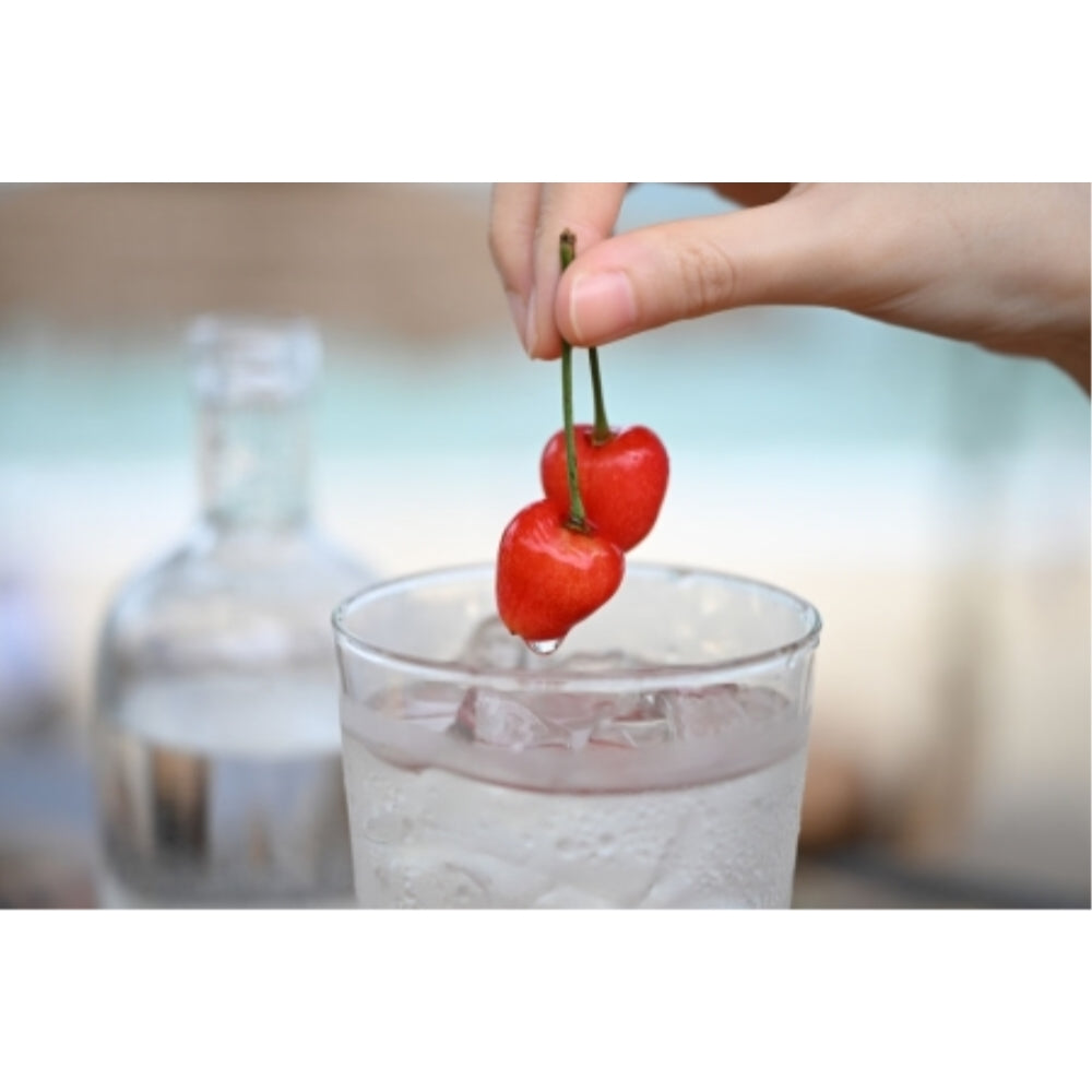 Nikon NIKKOR Z 24-70mm f/2.8 S II Lens Compatible with Nikon Z Mount (Full Frame Bundle with 77mm UV Filter + Lens Cap Keeper + Cleaning Kit + Cleaning Cloth (5 Items)