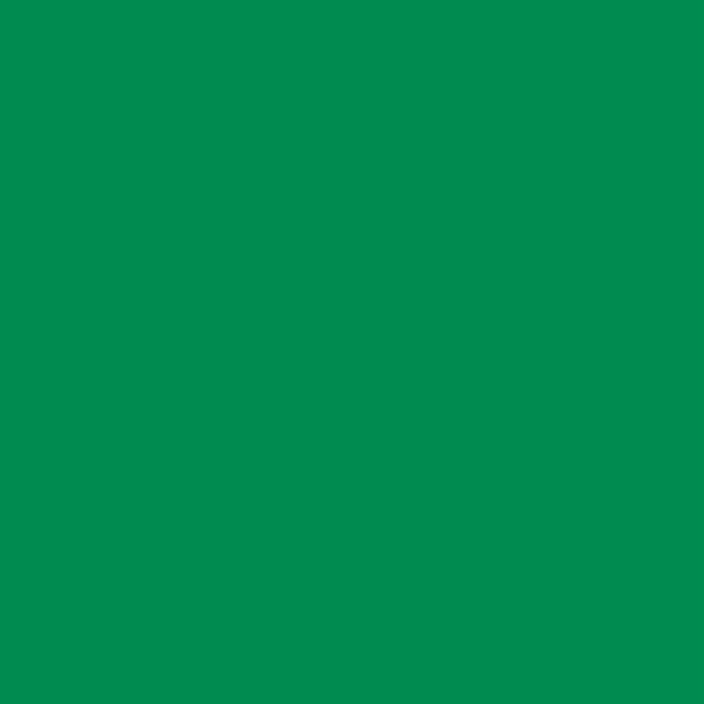 Lee Filters Gel 327 | Forest Green, 24in x 21in