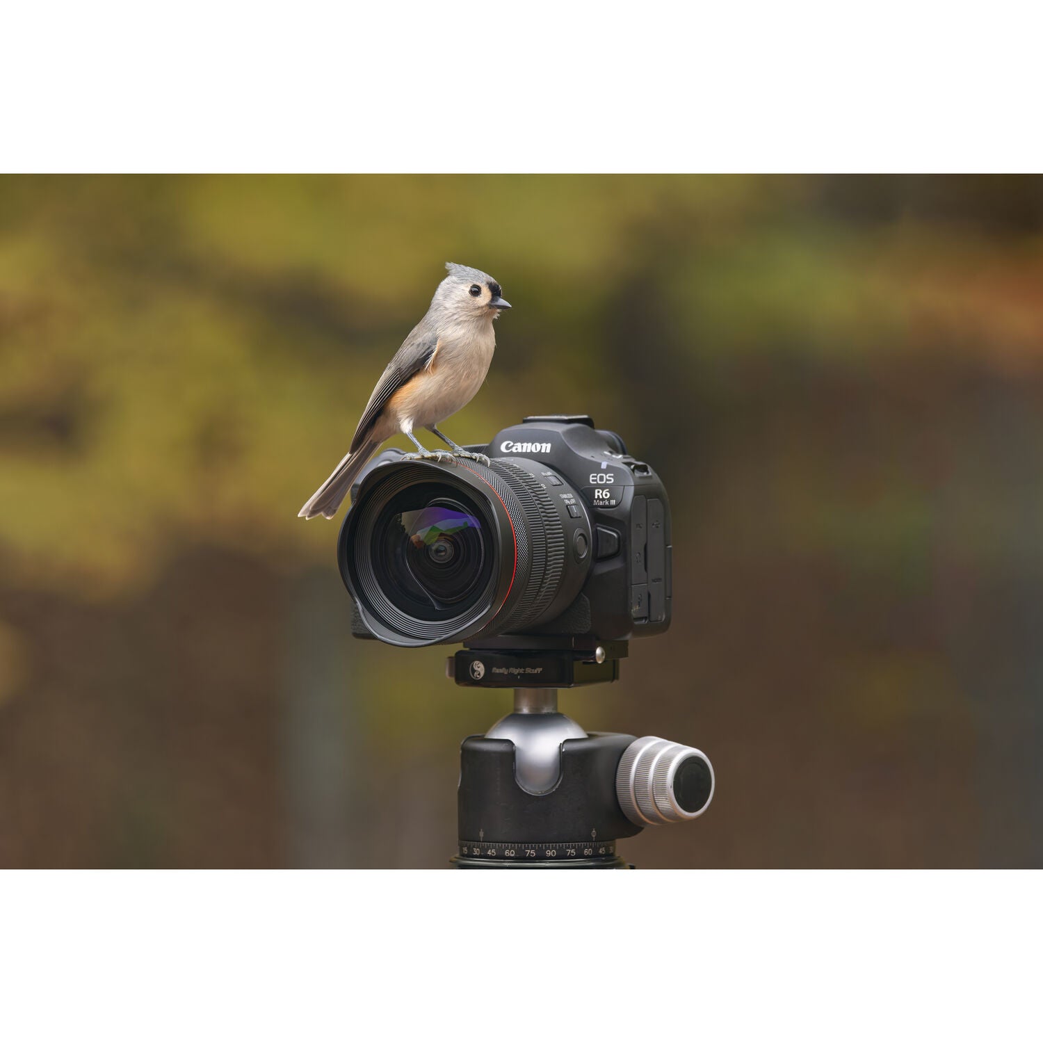 Canon EOS R6 Mark III Mirrorless Camera with RF 45mm f/1.2 STM Lens & Extra Canon LP-E6P Battery