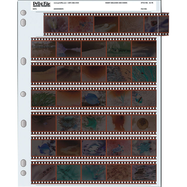 Print File 35mm Size Archival Storage Pages for Negatives | 7-Strips of 5-Frames, 100 Pack