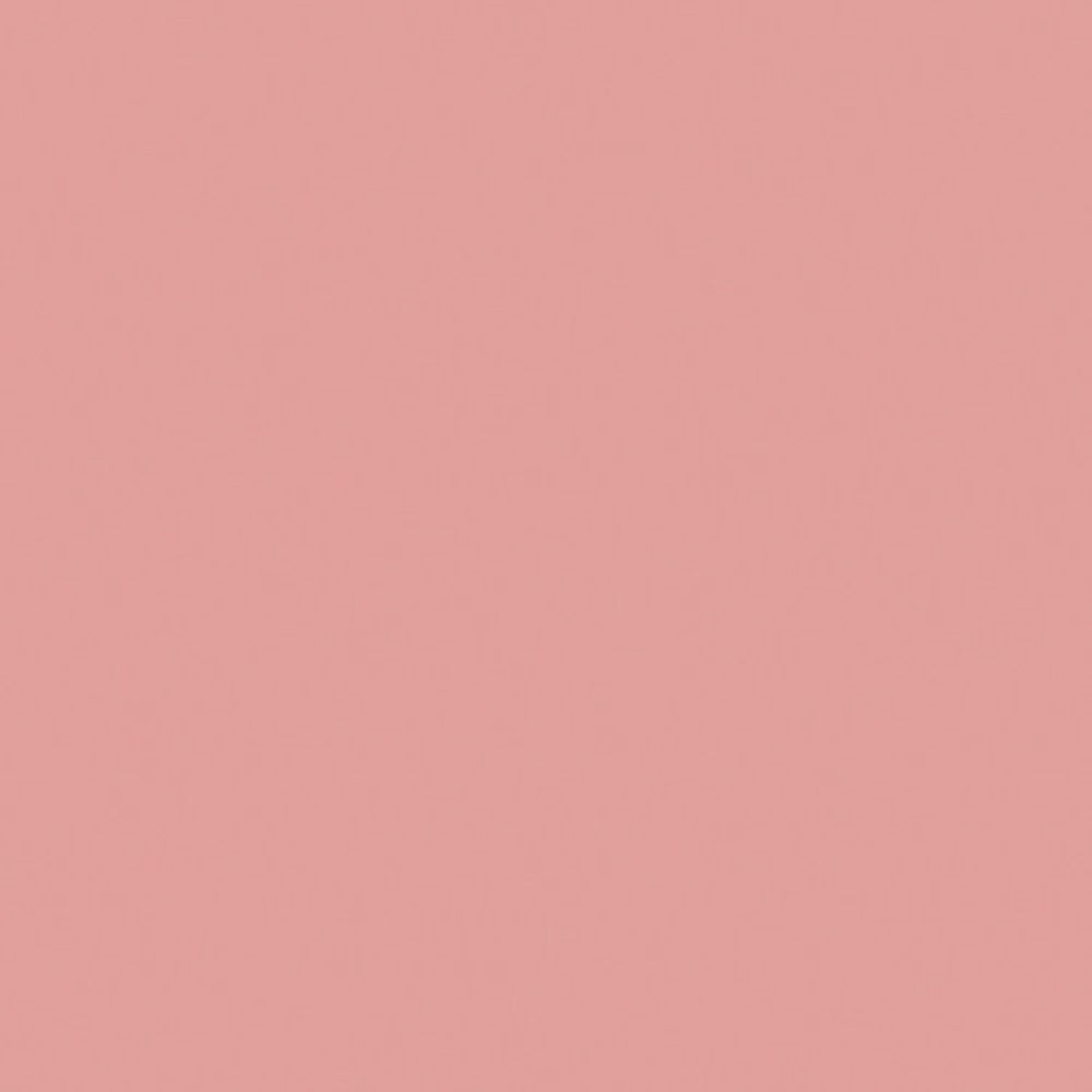 Savage Widetone Seamless Background Paper | 107" x 36', #03 Coral