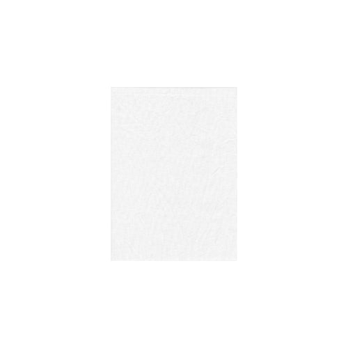 Promaster Solid Backdrop 10'x20' | White