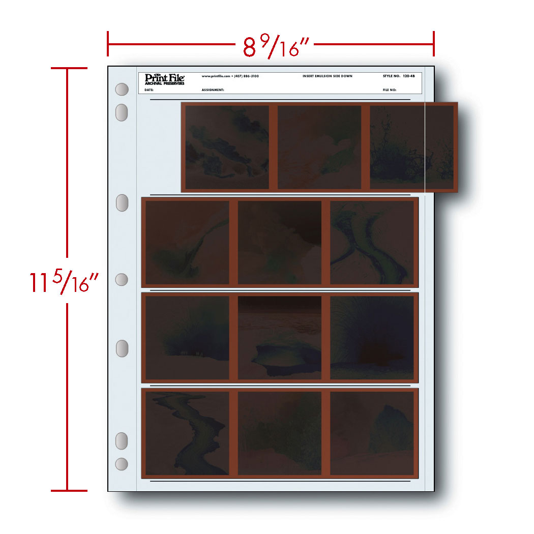 Print File 120 Size Archival Storage Pages for Negatives | 4-Strips of 3-Frames (Binder Only), 100 Pack