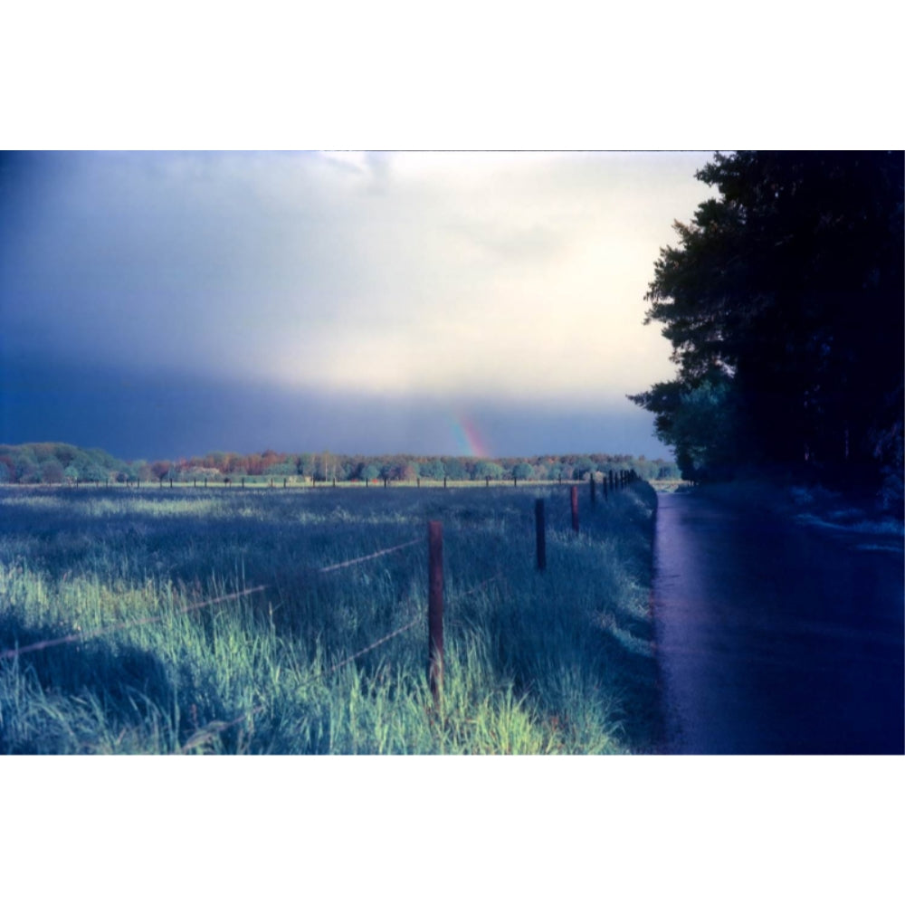 KONO Delight Art 100 Color Negative Film | 120 Roll Film